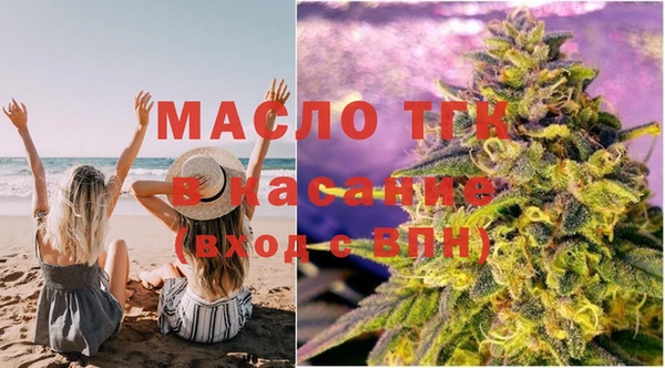 шишки Гусиноозёрск