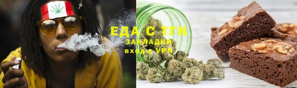 шишки Гусиноозёрск