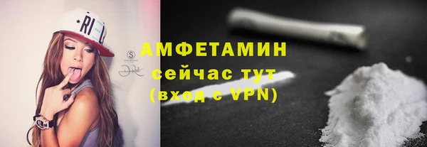 шишки Гусиноозёрск