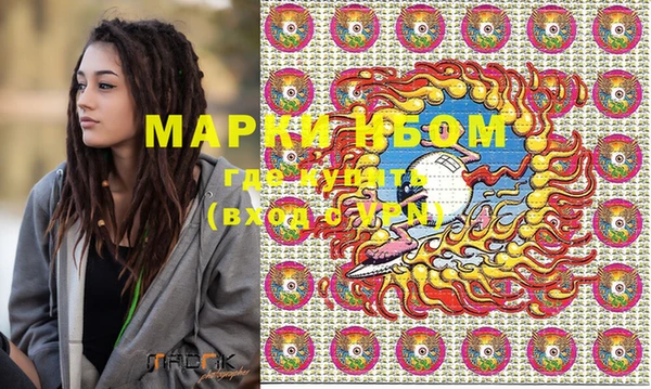 шишки Гусиноозёрск