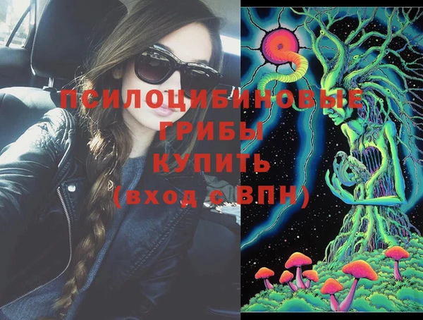 спиды Горнозаводск