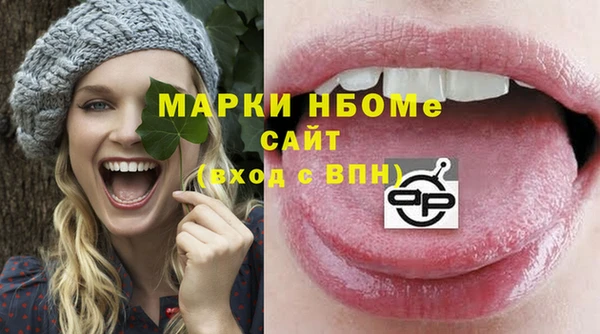шишки Гусиноозёрск