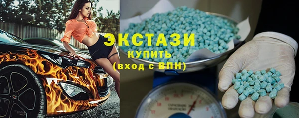 шишки Гусиноозёрск