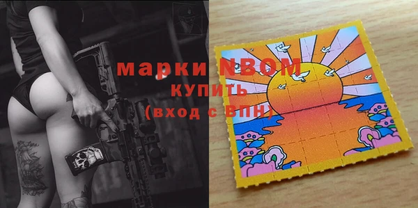 шишки Гусиноозёрск