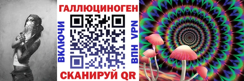 Галлюциногенные грибы Psilocybine cubensis Карачев