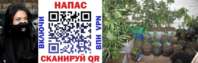 Шишки марихуана White Widow Карачев